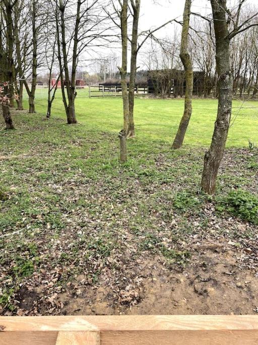 The Woodland Wyboston
